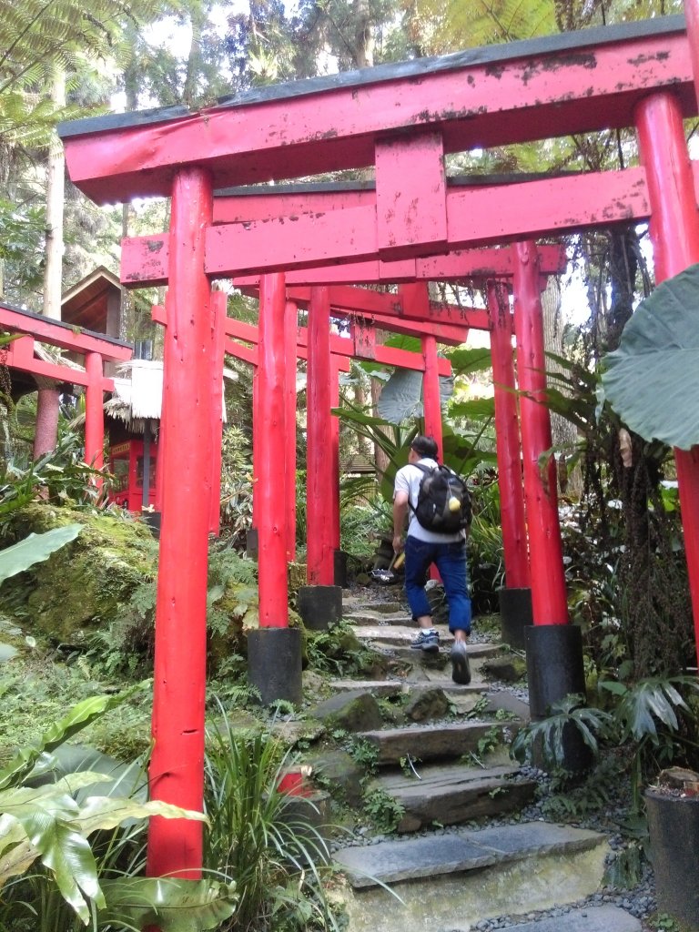 妖怪部落與童話仙境〜妖怪村_468152