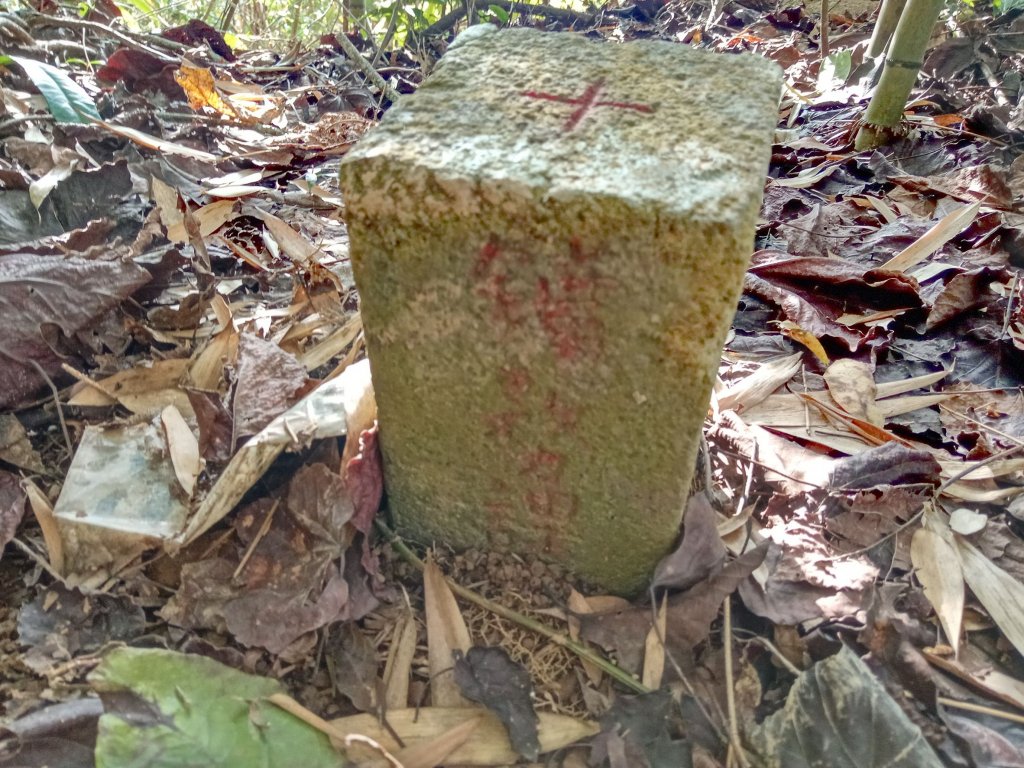 20220226台中和平尾文坑山、三叉坑山、穿龍山、大湖桶山基石封面圖