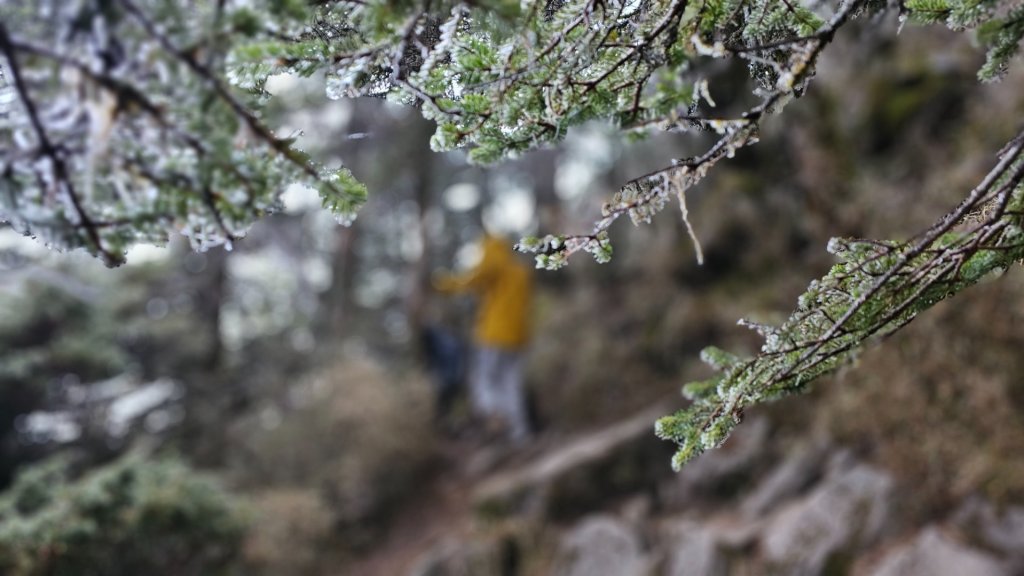 112.3.13～3.14 冰封奇萊主北_2073899