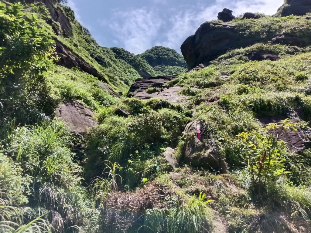 瑞芳區黃金8.5稜+南雅山O型_2866452