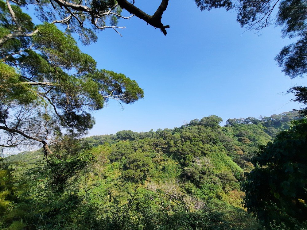 《彰化》田中森林登山步道O型20201122_1179710