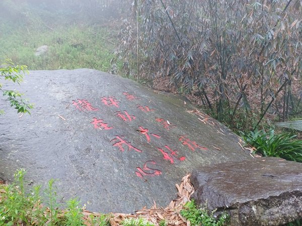 【雲林古坑】適合親子散散步。 華山小天梯情人橋_1681748