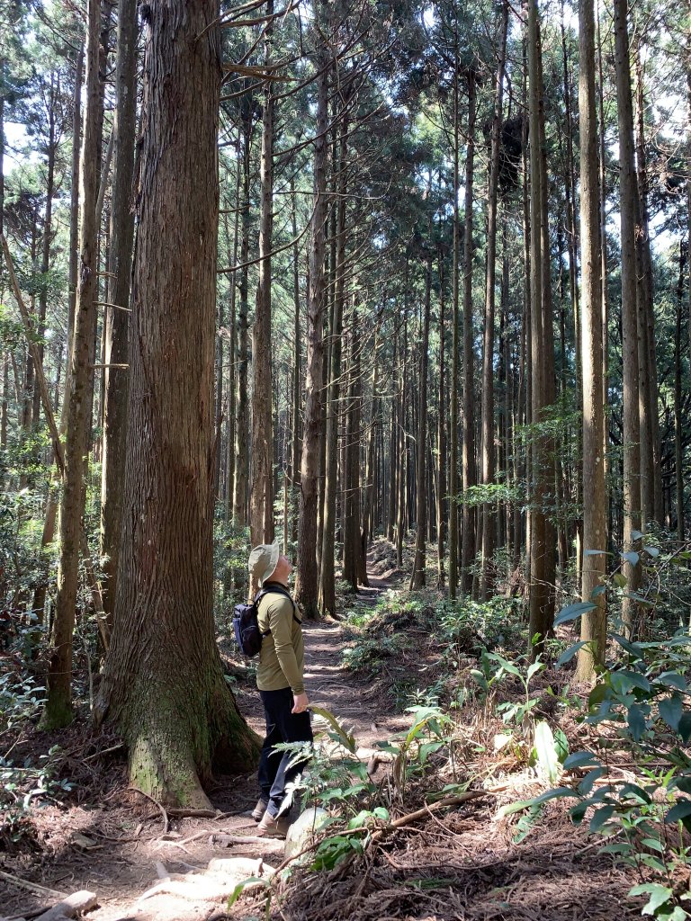 【中級山】高島縱走，森林野營趣_1653272