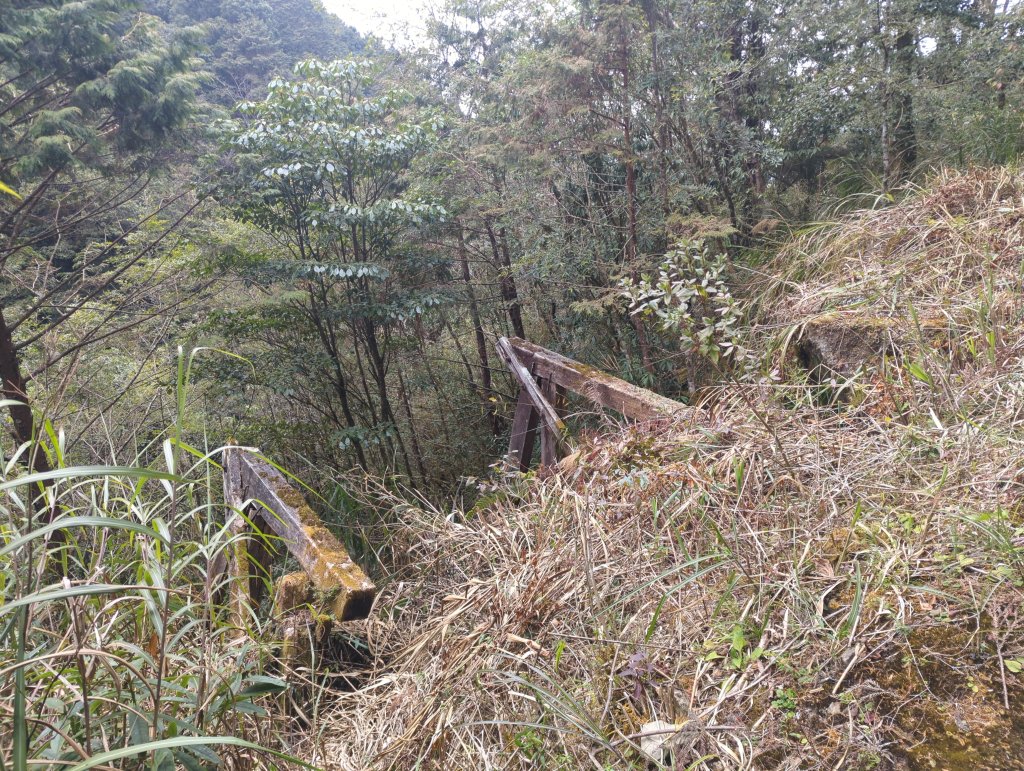 2026.02.14－特富野古道_3013696