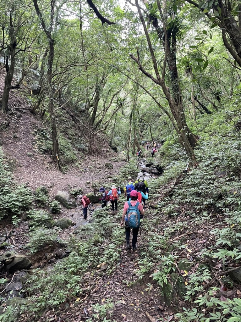 龜溪縱走_2852902