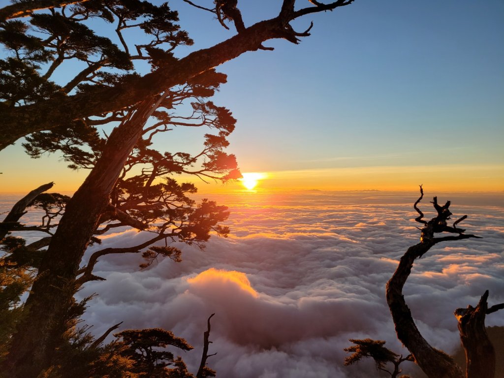 北大武山單攻順撿西大武山（百岳×32）_1227779