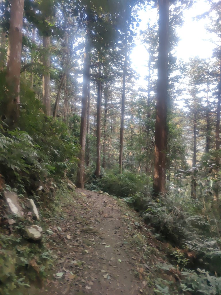 惠蓀湯公啤&小嵐_2697821
