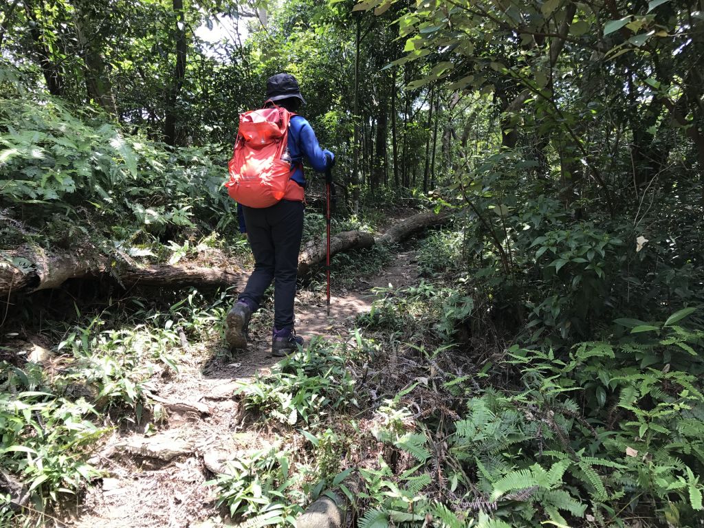 圓山水神社上劍潭山出故宮_139178
