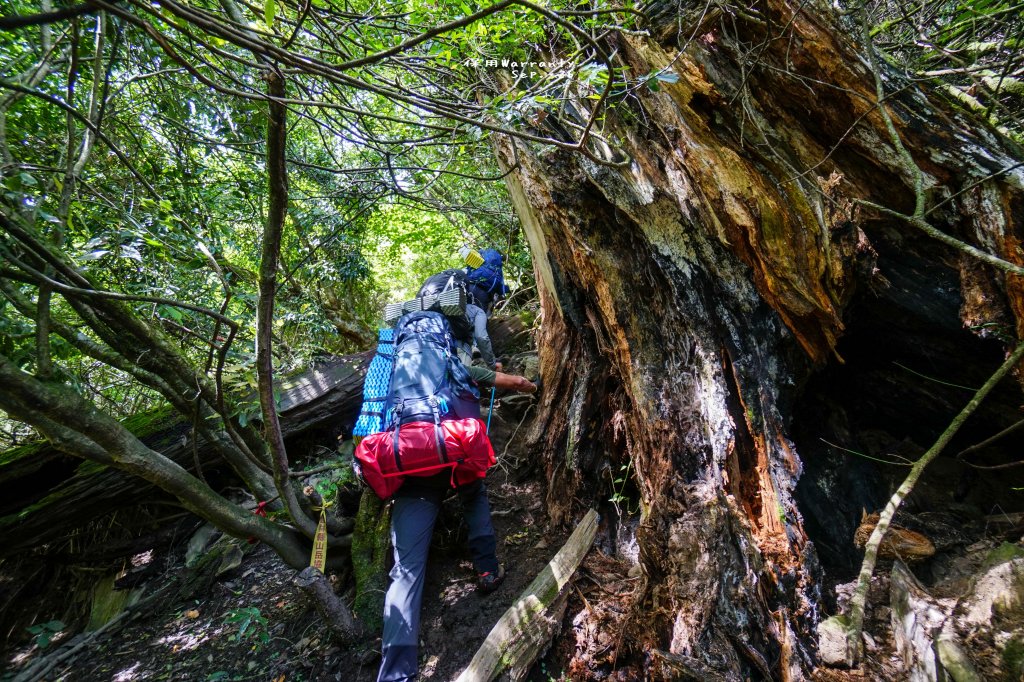 閂山之門.鈴鳴之鑰_660209
