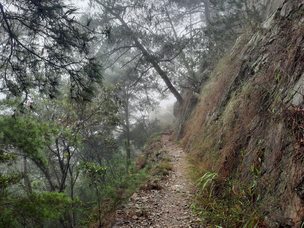 東卯山上下封面圖