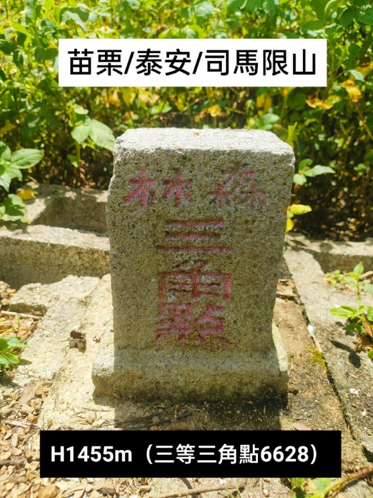 🔺基石 | 三角點_1737604