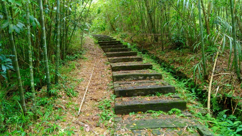 孝子路步道封面圖