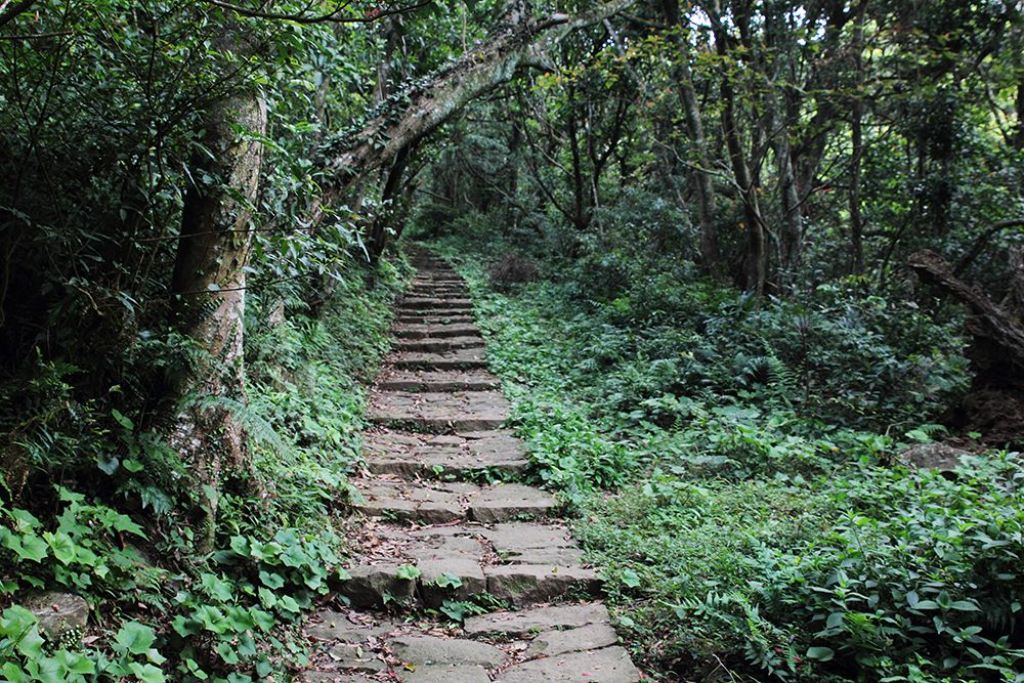 清天宮.面天山.向天山.向天池山.興福寮_365084