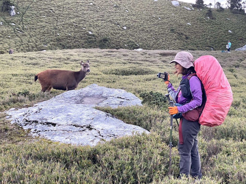 奇萊東稜 20241019-1025_2641775