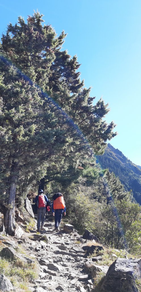 玉山前四峰之旅_869283