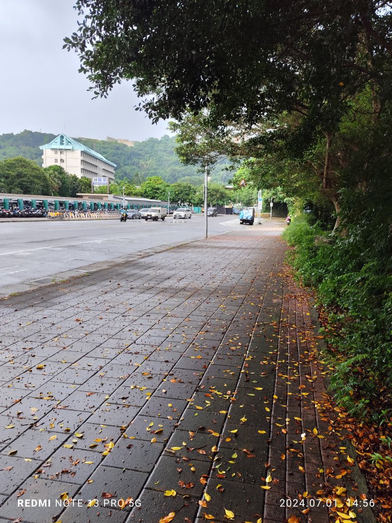 芝山岩健走步道、士林雨聲街、貓頭鷹之家、芝山巖聖佑宮、芝山文化生態綠園、忠誠公園【臺北健走趣】_2541231