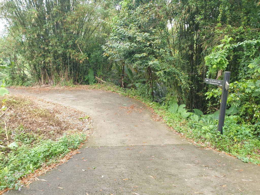 20220417南庄獅頭山周邊景點與三角點健行_1732789