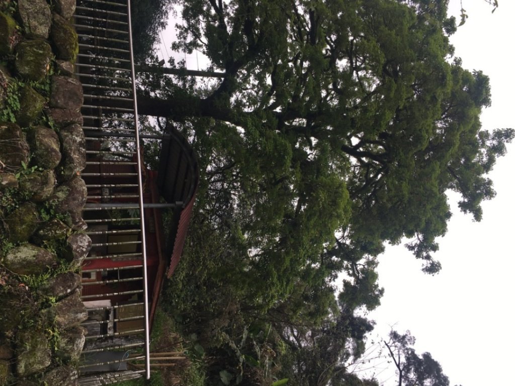 38溪洲山_2729737