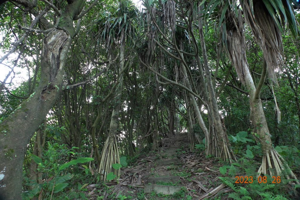 基隆 頂寮山、龍門山、五分山、頂子寮山_2265914
