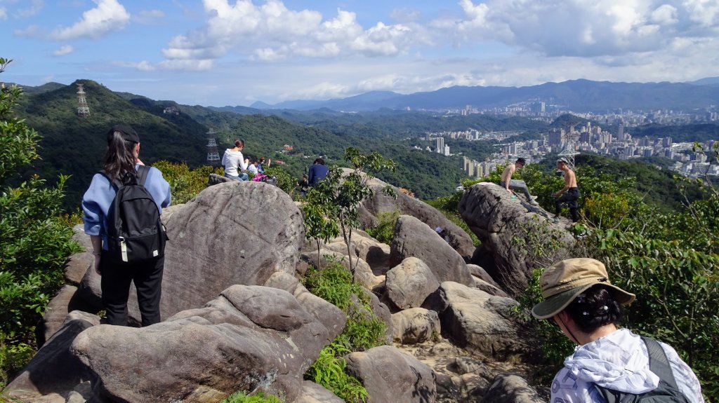 碧山巖櫻花_2035656