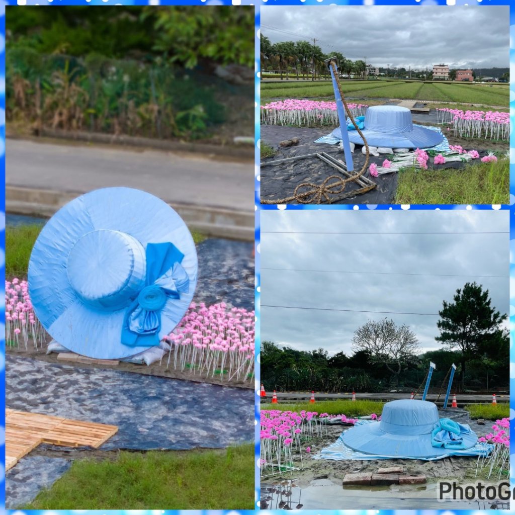 桃園大溪-花彩節🌼李騰芳古厝-月眉落雨松_2934634