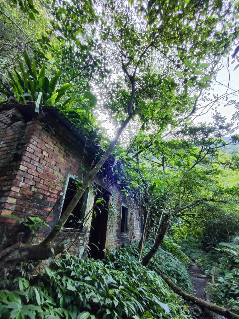 三峽白雞三山_2963369