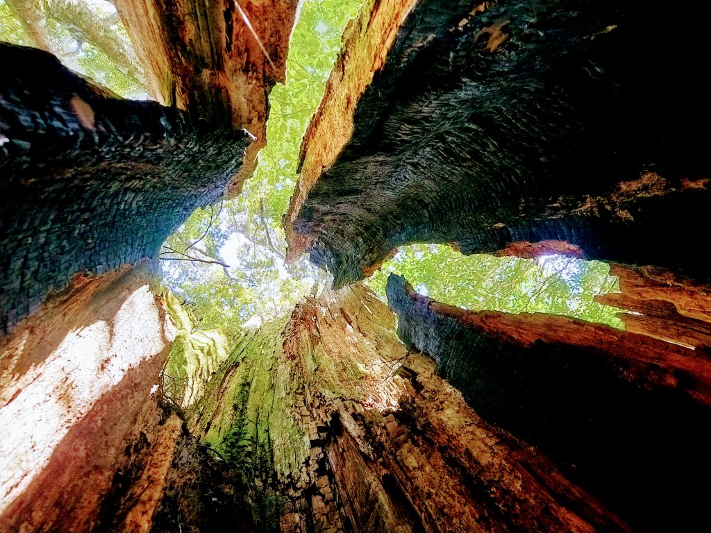 新竹天際線 比(南)比大鳥_881899