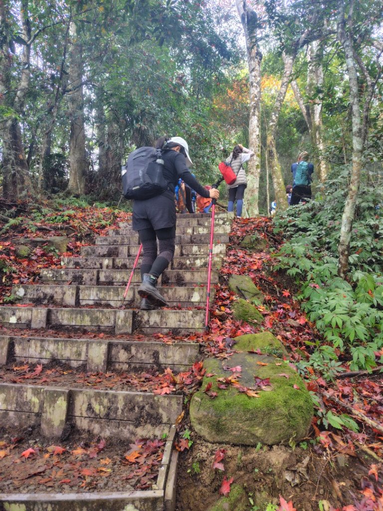 馬那邦山_2974992