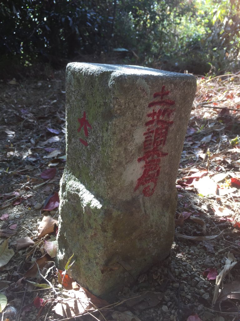 20230122高雄兔和山_2016019