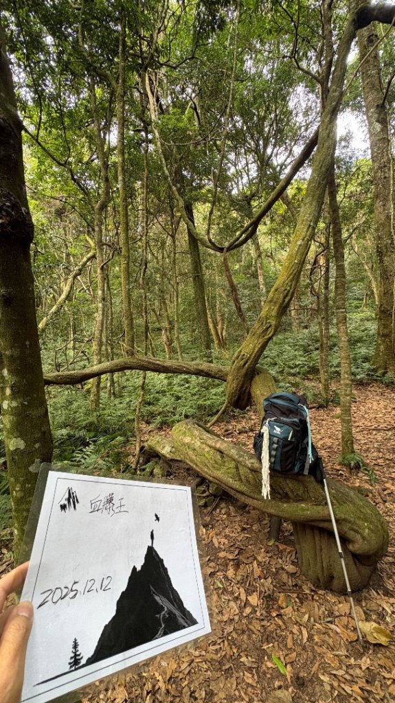 鵝黃色的優雅_2960202