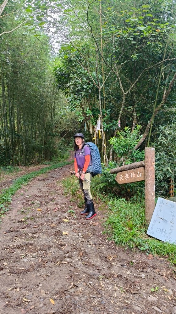 大混李棟重訓_2883602