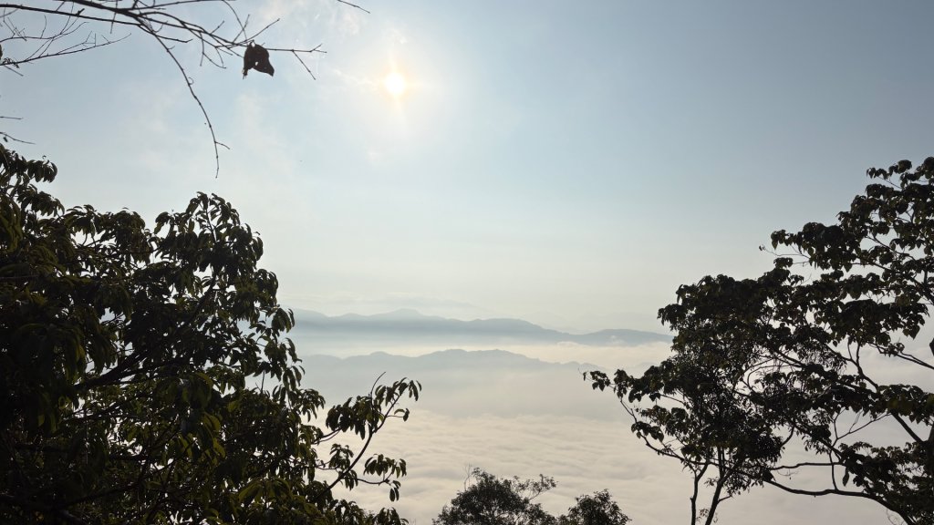 難山獵鷹封面圖