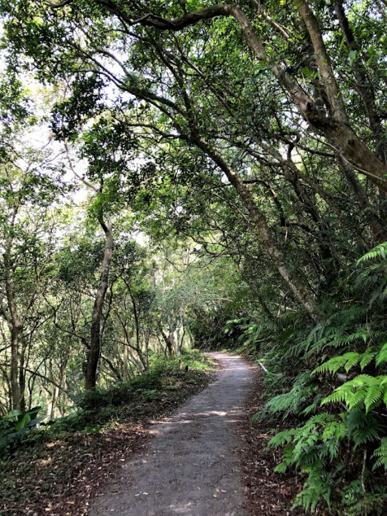 聖母山莊步道，近乎宗教式的自我追尋_179846