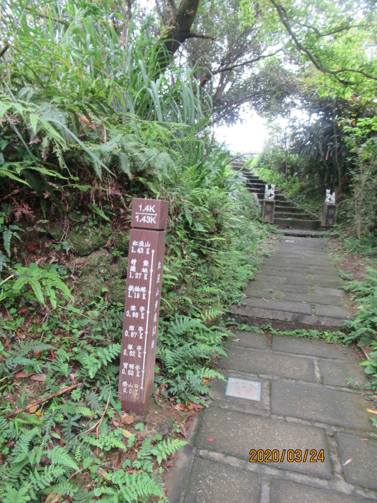 紅淡山步道_907499