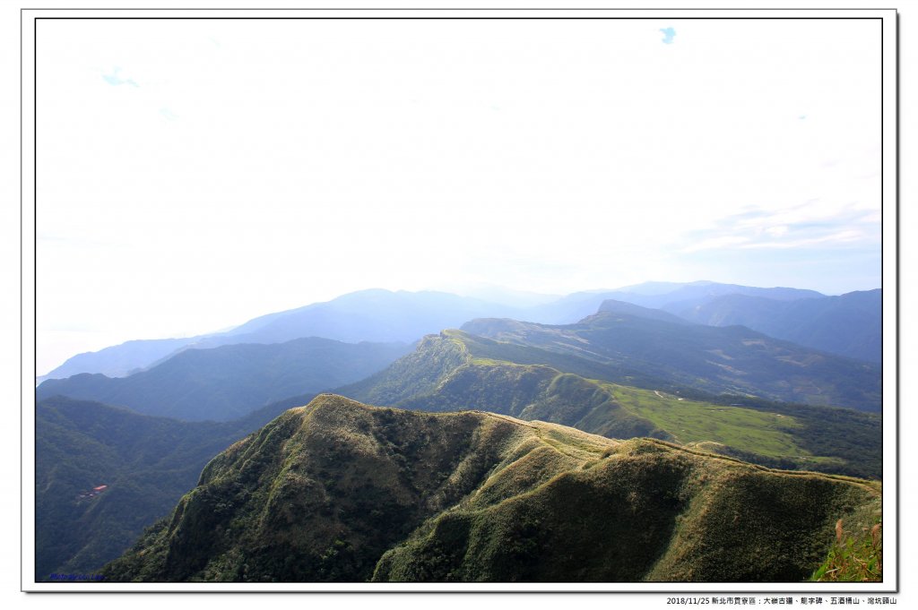 大嶺古道、五酒桶山縱走灣坑頭山_469542