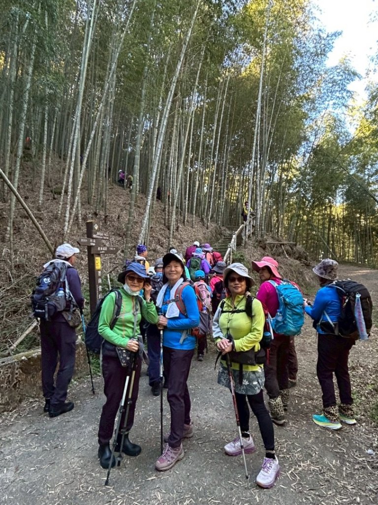 九穹神木 左訪嘉南雲峰 右到好望角看風景上石壁山(小百岳#55)_2944819