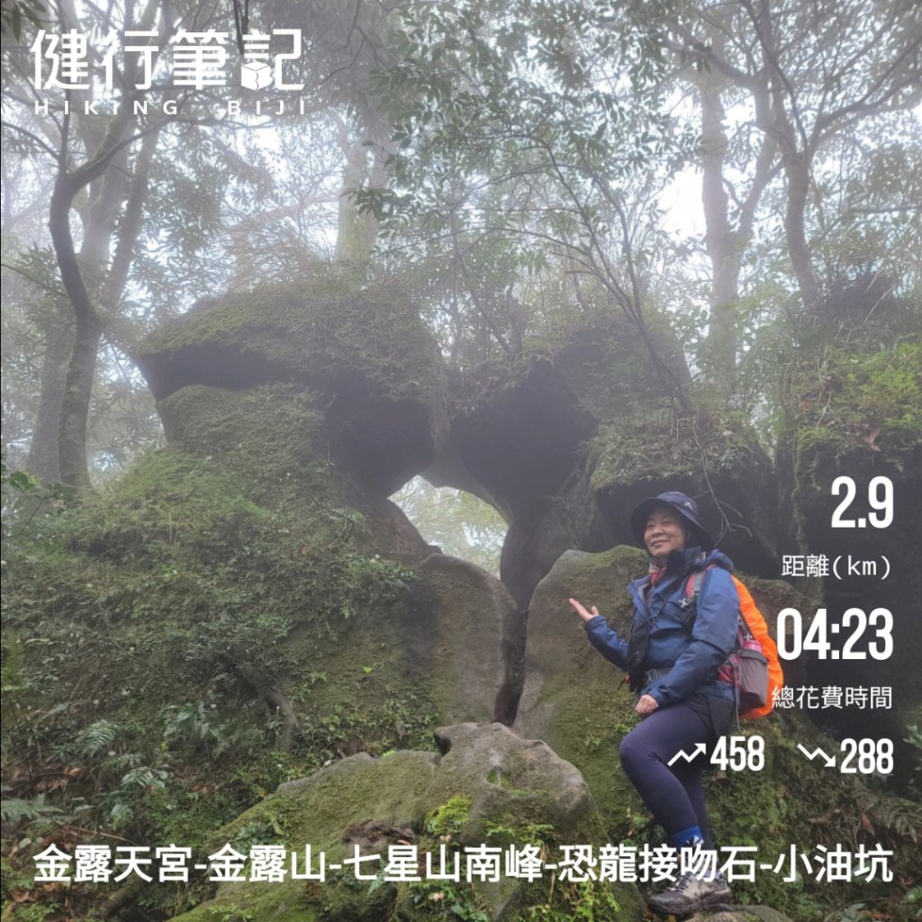 金露天宮-金露山-七星山南峰-恐龍接吻石-小油坑-20240310_2600480