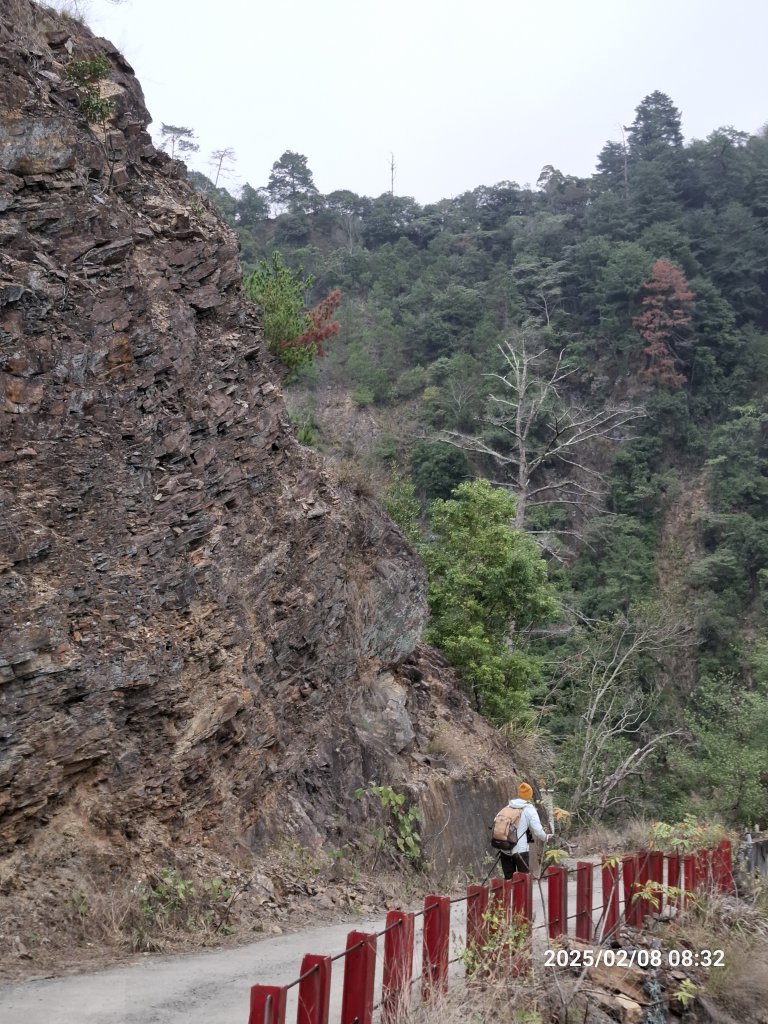 2025.02.08 限時秘境?菜市場? 北港溪峽谷步道_2709003