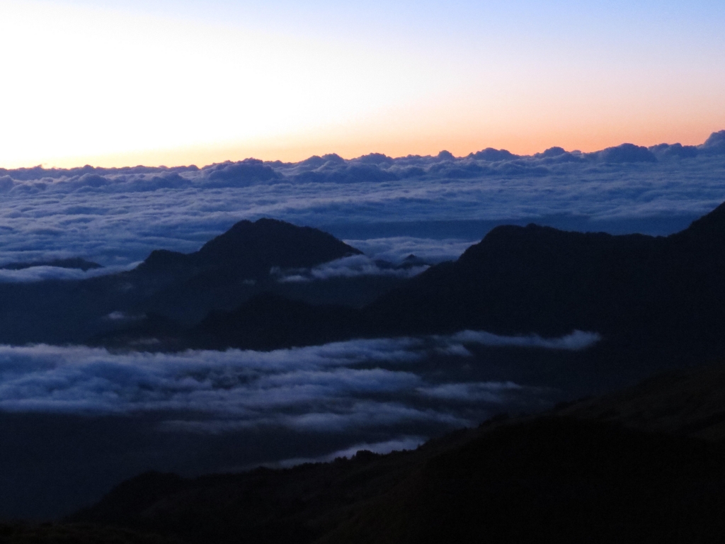 【步道小旅行】登山新手之能高越13K.奇萊南峰日出雲海_4369