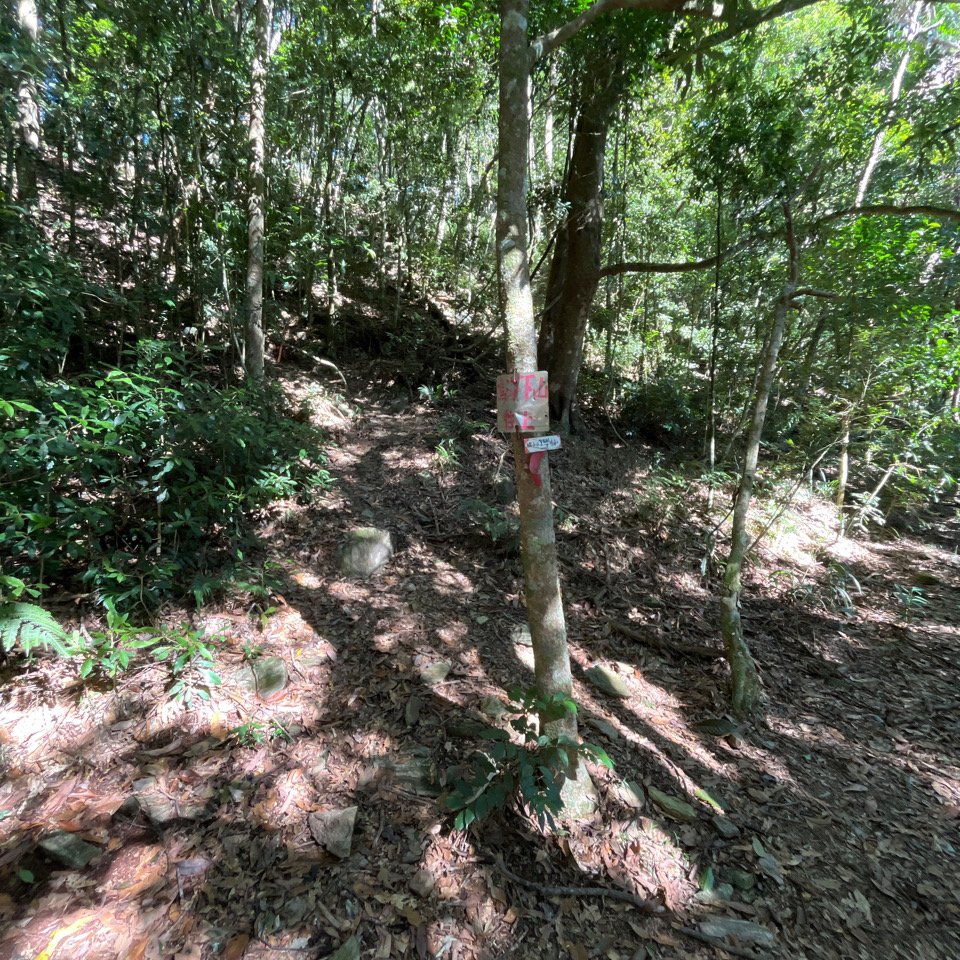 20251116_鳴海山（高雄小百岳）_2941559