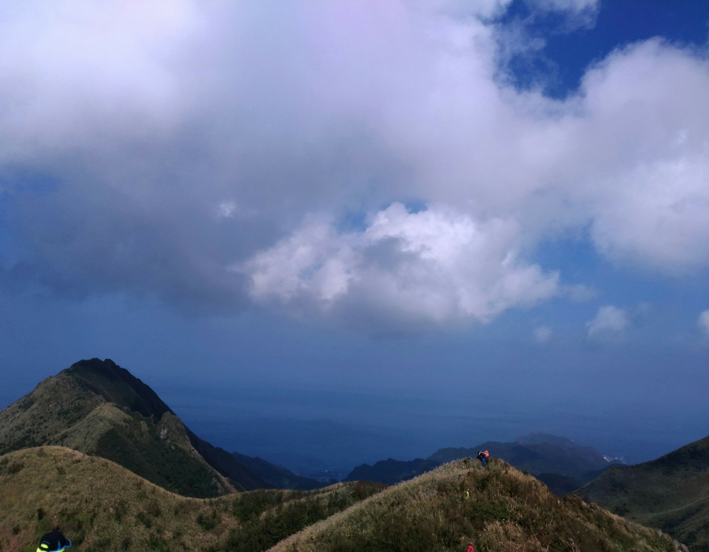 燦光寮古道賞芒_71947