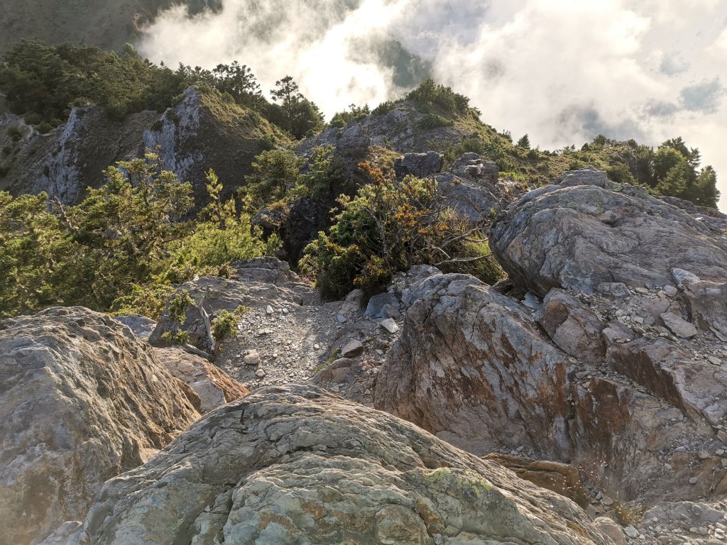 2022-07-21八大秀_1789185