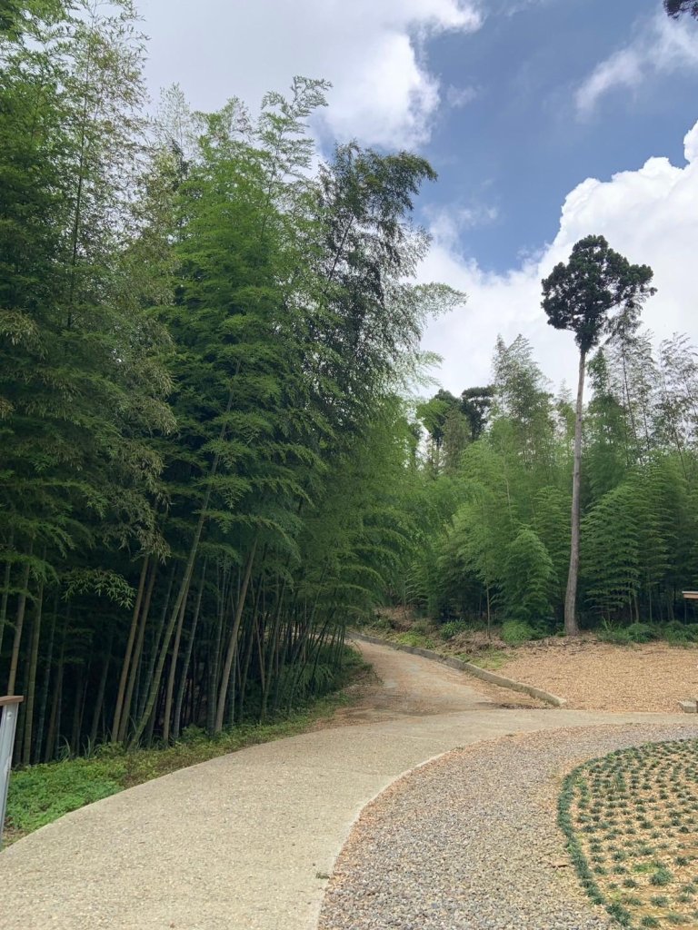 雲嶺之丘_20240720_2555091