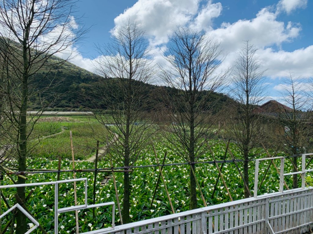 台北大縱走第二段_1635028