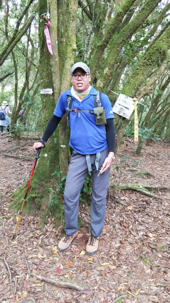 金柑樹山&忘憂森林步道20171023_193395