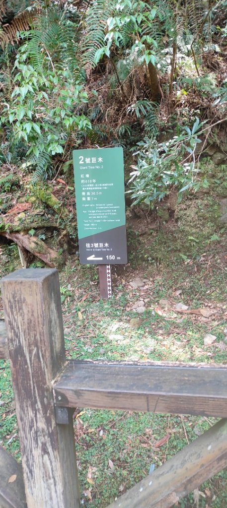 拉拉山國家森林遊樂區_2752206