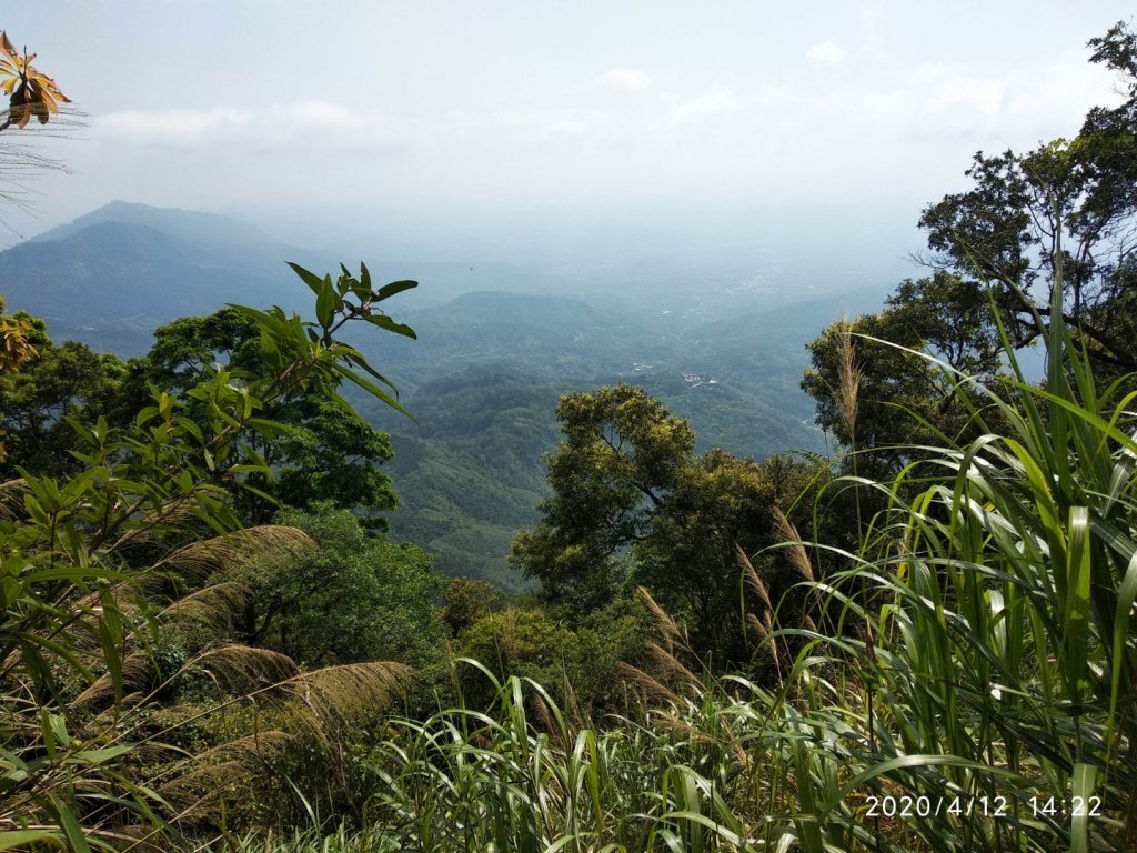台南第一高峰:關子嶺大凍山_915641