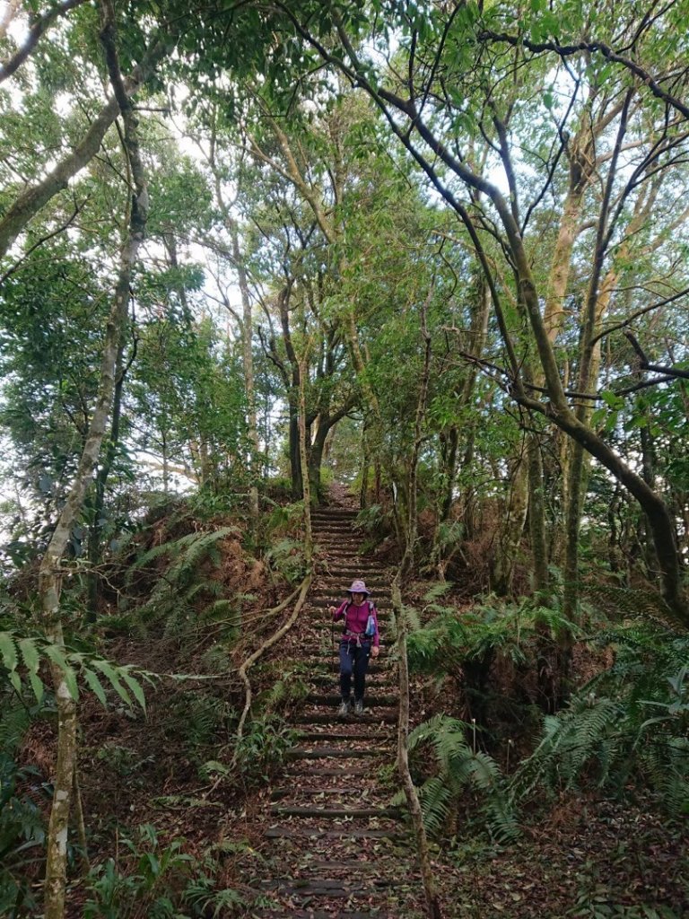 四崁水山、大桶山_1661785