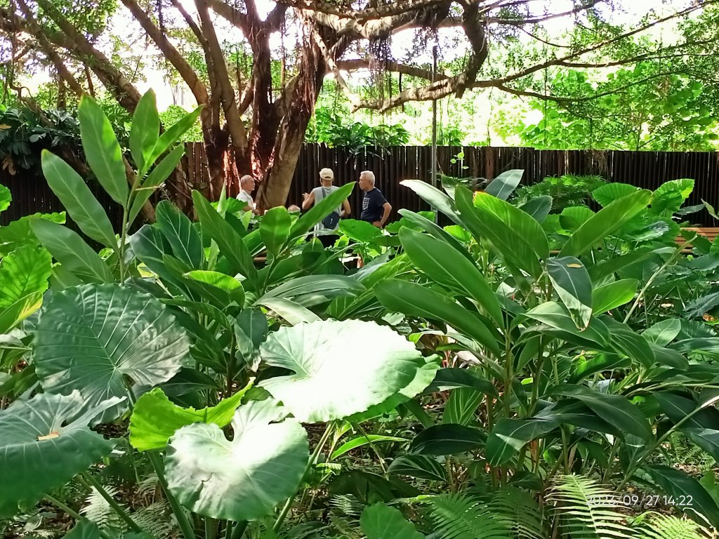 花博公園、大港墘公園【走路趣尋寶、健康大穀東】_2297429