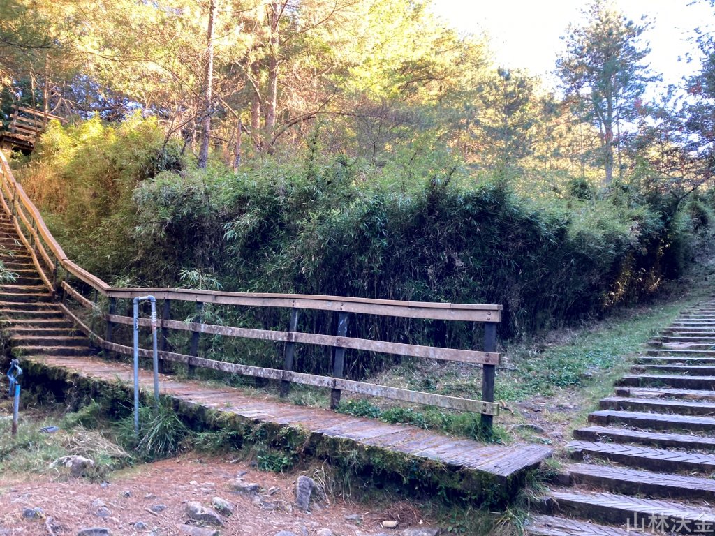 2023-11-26 東埔大草原步道_2363793